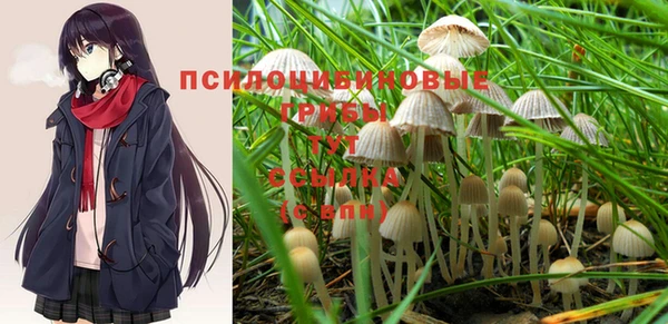 прущие грибы Белоозёрский