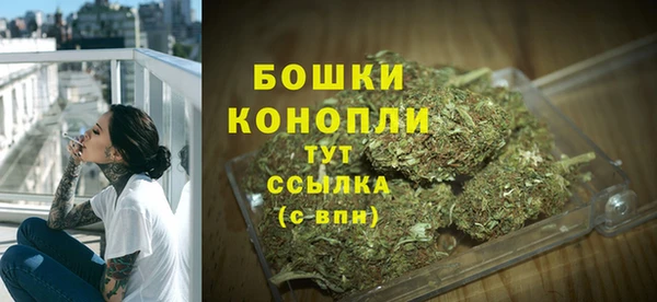 прущие грибы Белоозёрский