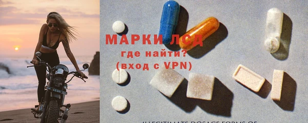 прущие грибы Белоозёрский
